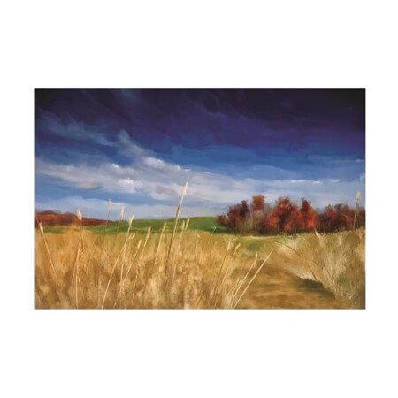 Trademark Fine Art